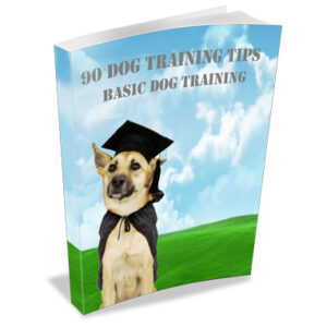 90 Dog Training Tips - Basic Dog Training