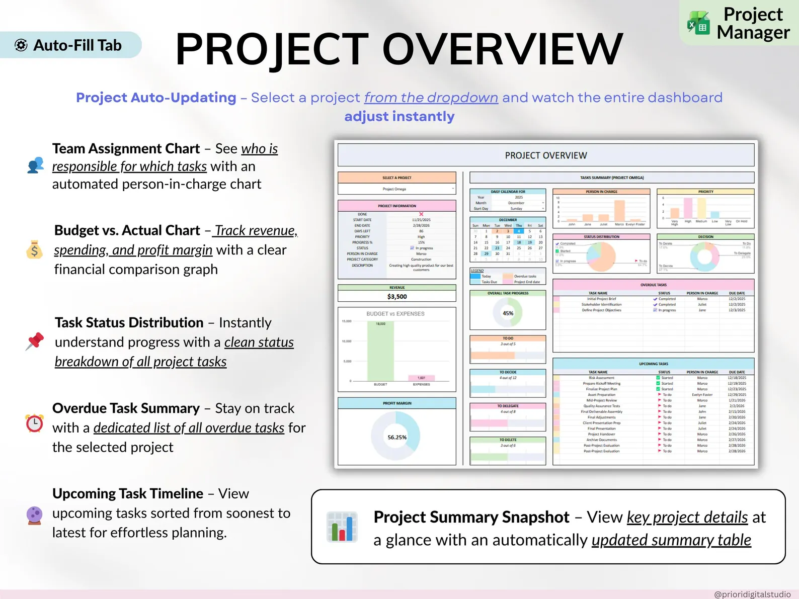 Professional Planner Bundle Project Management Excel Template Task Tracker Google Sheets Work OneNote Planner Weekly Planner Budget Tracker - Image 2
