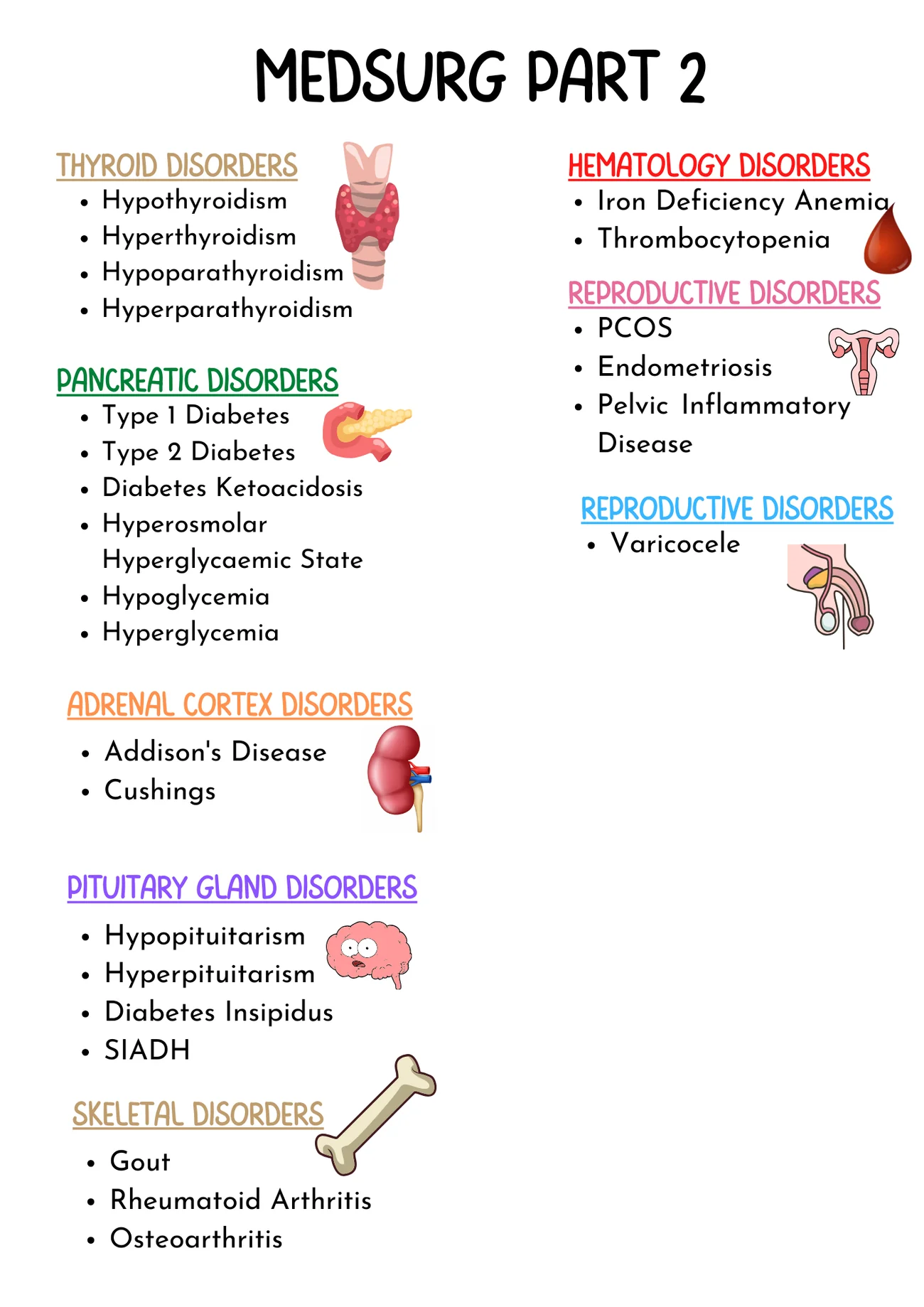 Ultimate MedSurg Bundle (Digital-PDF Files ONLY) - Image 4