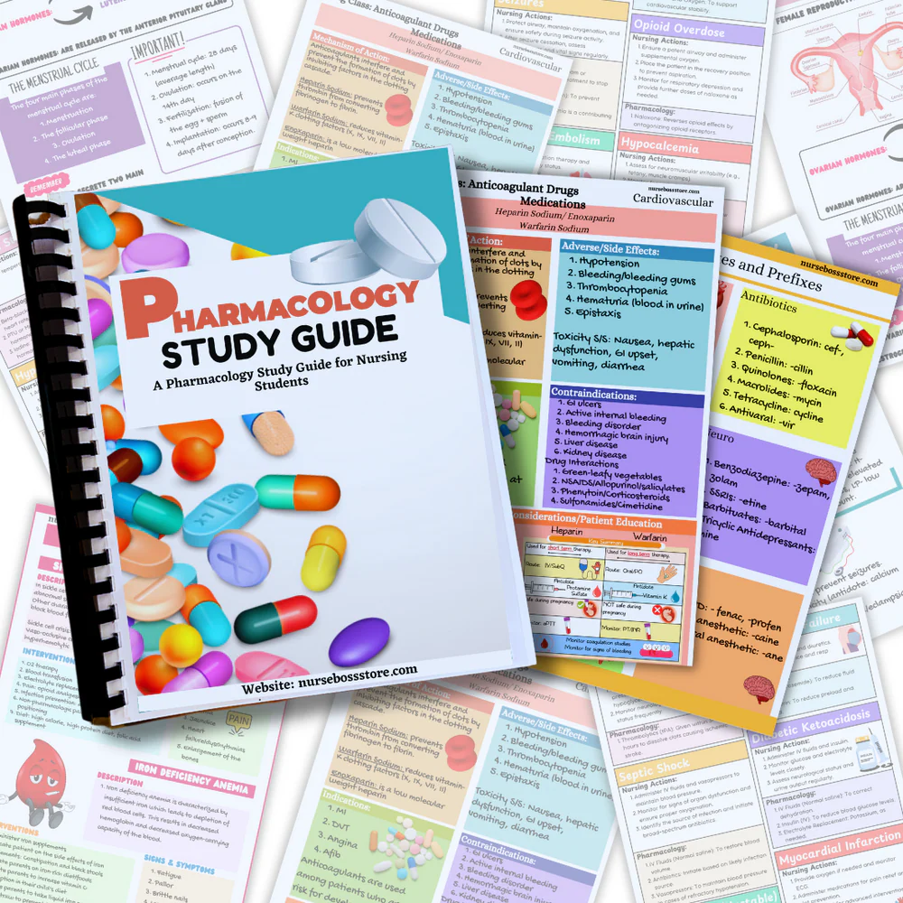 Pharmacology Nursing Study Guide (Digital-PDF) - Image 2