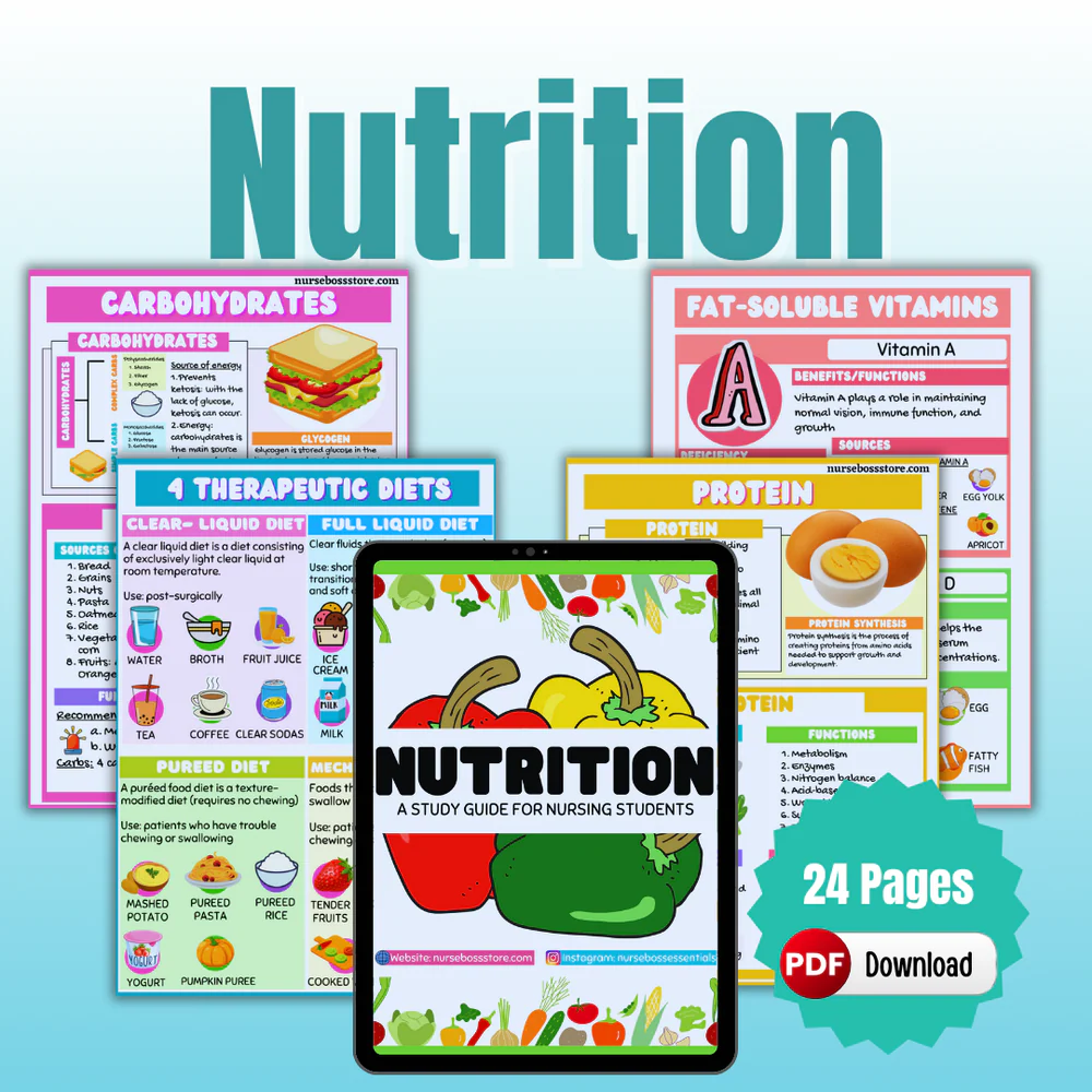 Nutrition Study Guide (DIGITAL-PDF Files ONLY) - Image 2