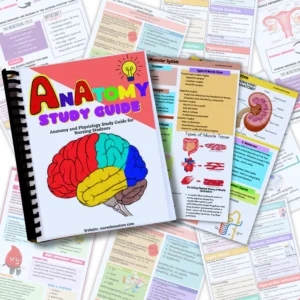 Anatomy Study Guide (Digital-PDF)