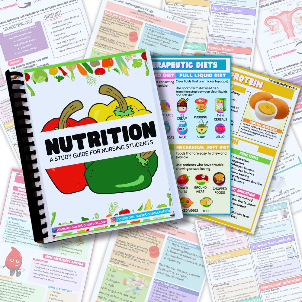 Nutrition Study Guide (DIGITAL-PDF Files ONLY) - Image 3