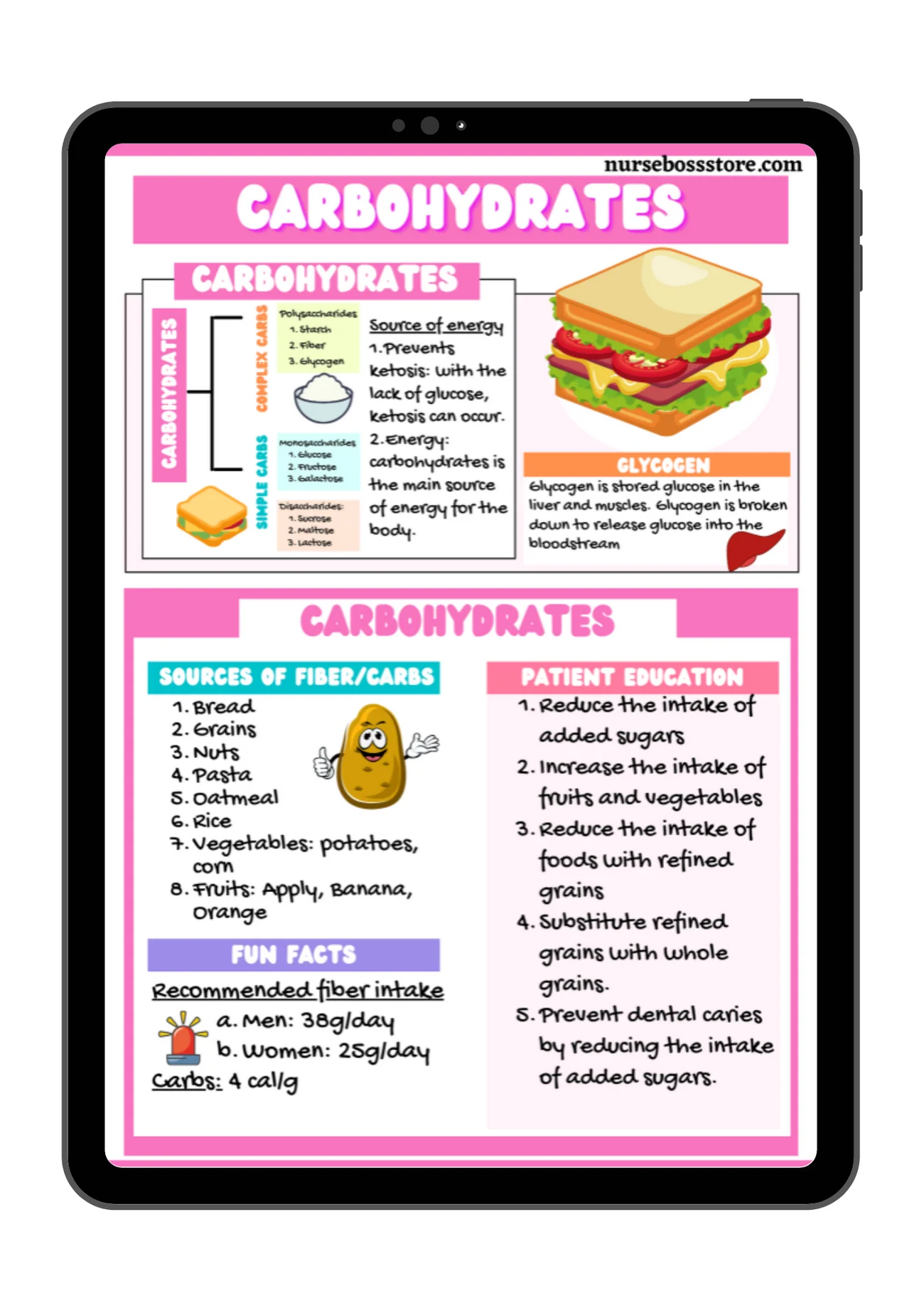 Nutrition Study Guide (DIGITAL-PDF Files ONLY) - Image 4